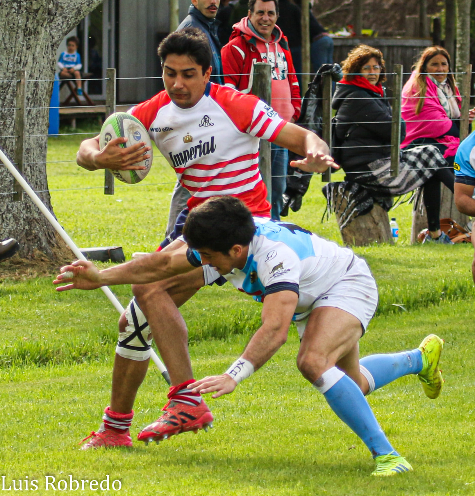  Areco Rugby Club - Centro Naval - Rugby - Areco Rugby Club vs Centro Naval (#ARCvsCN2021) Photo by: Luis Robredo | Siuxy Sports 2021-10-09