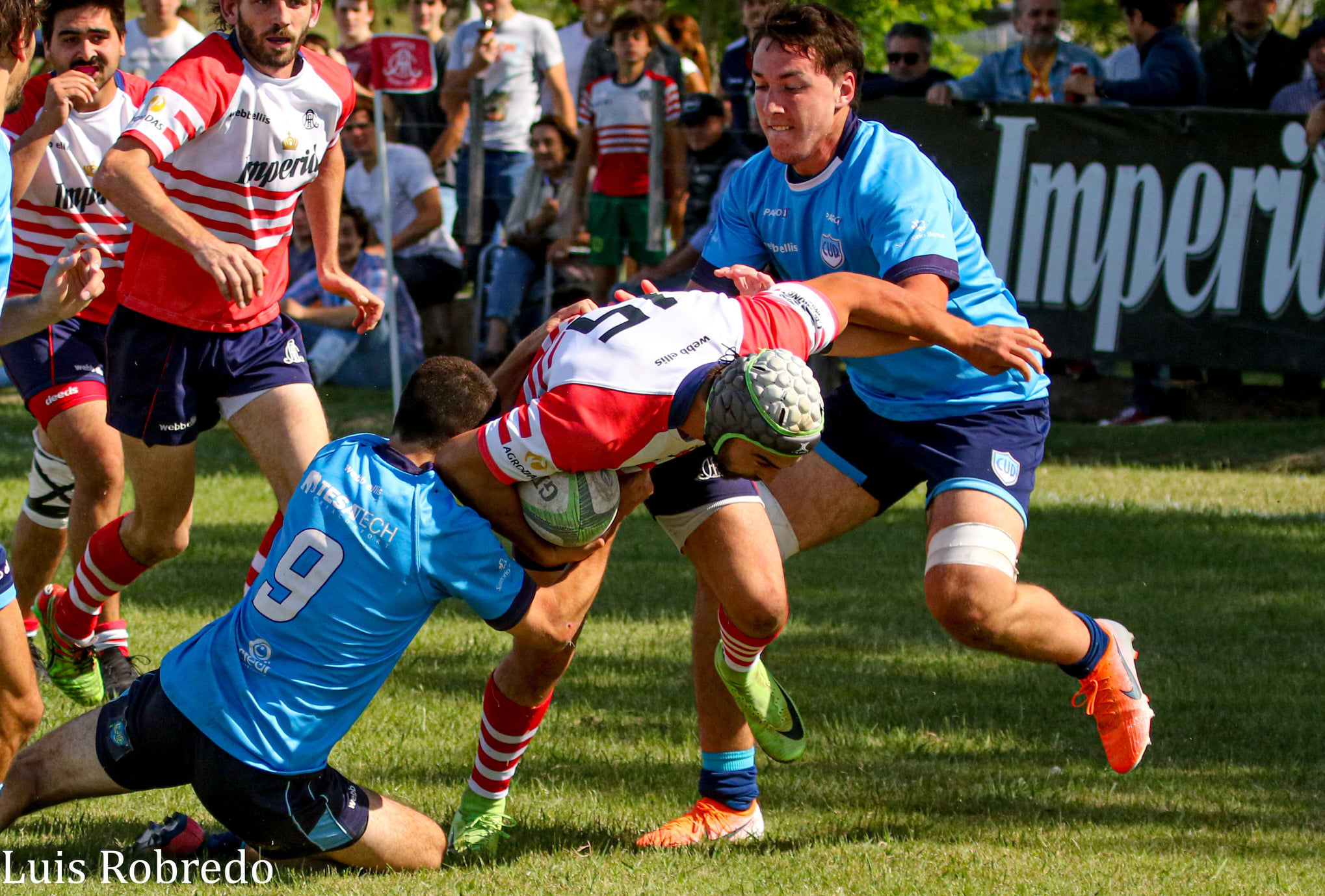  Areco Rugby Club - Círculo Universitario de Quilmes - Rugby - Areco Vs CUQ - URBA 2021 - Primera (#ArecoVsCUQ2021Pri) Photo by: Luis Robredo | Siuxy Sports 2021-11-20