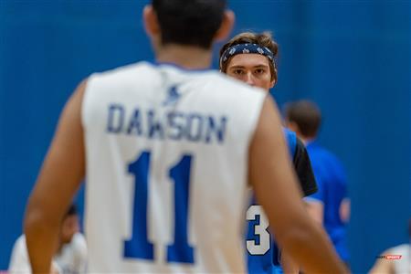 RSEQ - Volleyball C M D2 Sud-Ouest - Tournoi 4 - Section A - Gaillards (2) vs (0) Blues