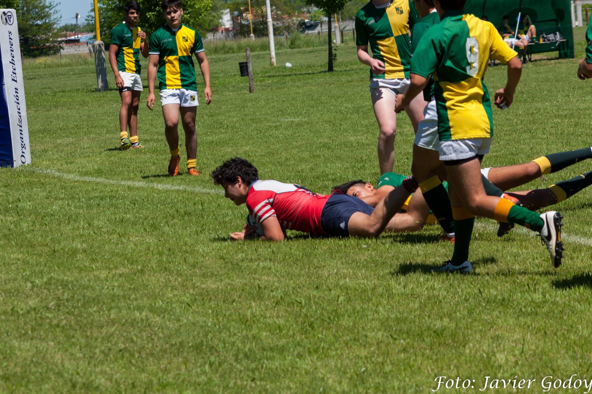Lorenzo Nicolás VALLESTINO -  Areco Rugby Club - Las Cañas - Rugby - Try! (#ArecoVsLasCanas2019) Photo by: Javier Godoy | Siuxy Sports 2019-11-03