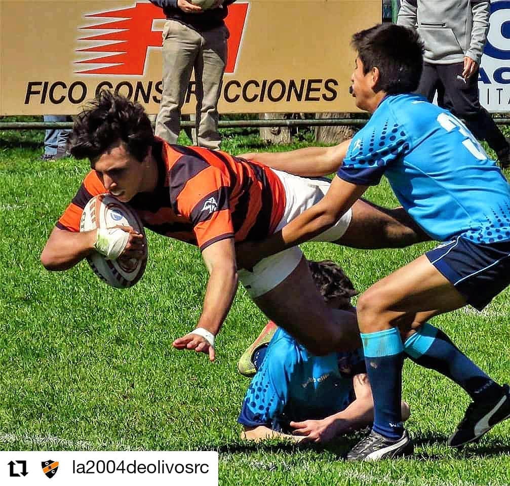 Marcos FINOCHIETTO -  Olivos Rugby Club - Círculo Universitario de Quilmes - Rugby - m15 fecha 3 del 2019 (#la2004deolivosrc) Photo by:  | Siuxy Sports 2019-09-02
