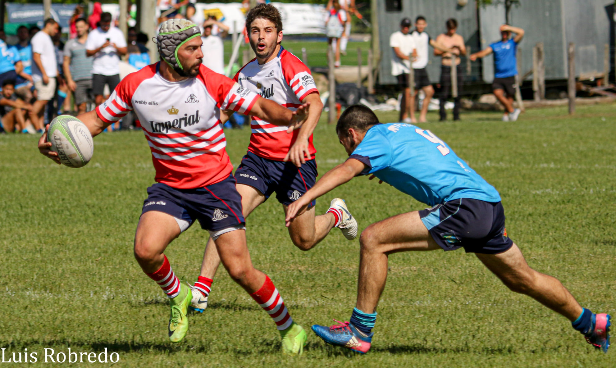  Areco Rugby Club - Círculo Universitario de Quilmes - Rugby - Areco Vs CUQ - URBA 2021 - Primera (#ArecoVsCUQ2021Pri) Photo by: Luis Robredo | Siuxy Sports 2021-11-20