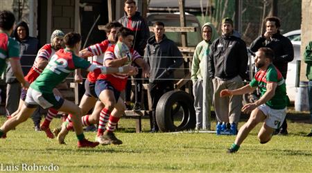 Areco Rugby vs Brandsen