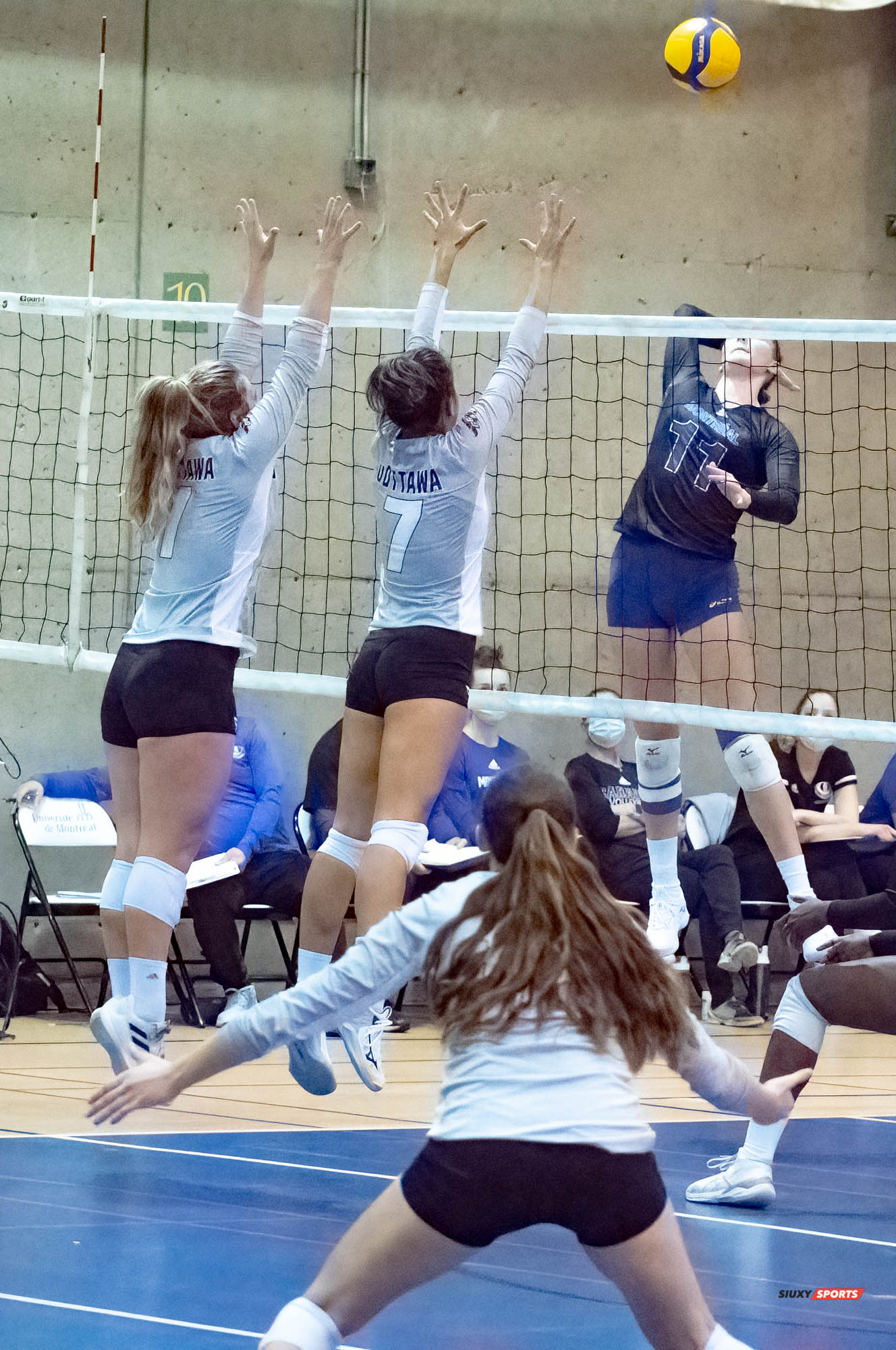 Gabrielle FORTIN -  Université de Montréal - Université Ottawa - Volleyball -  (#VolleyUdeMvsUOttawaFW) Photo by:  | Siuxy Sports 2021-11-12