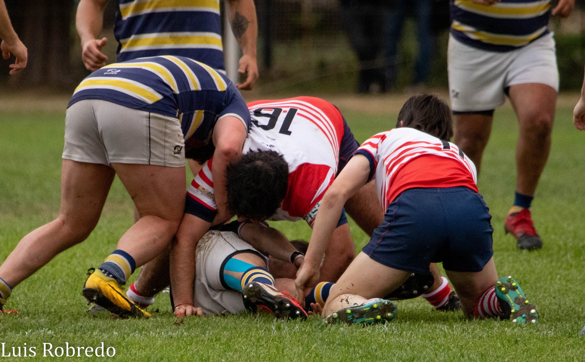  Areco Rugby Club - Círculo de ex Cadetes del Liceo Militar Gral San Martín - Rugby - URBA - Areco RC vs Liceo Militar (#URBAArecoLiceoM2022) Photo by: Luis Robredo | Siuxy Sports 2022-10-22