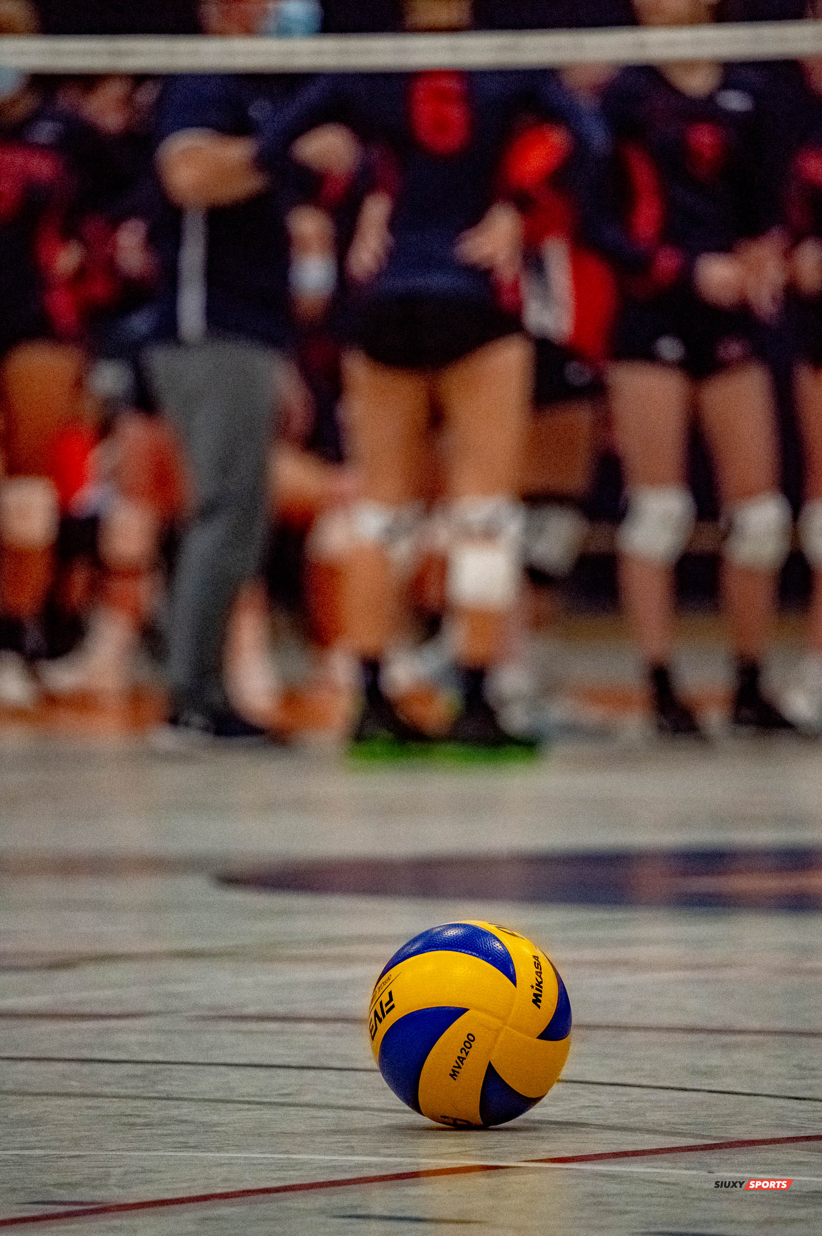  Cégep André Laurendeau -  - Volleyball -  (#VolleyFemCALvsCMV) Photo by:  | Siuxy Sports 2021-11-22