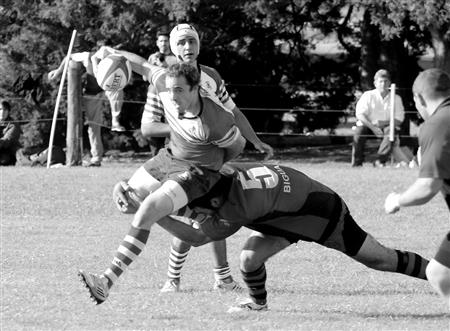 Areco Rugby Club vs Tiro Federal de San Pedro