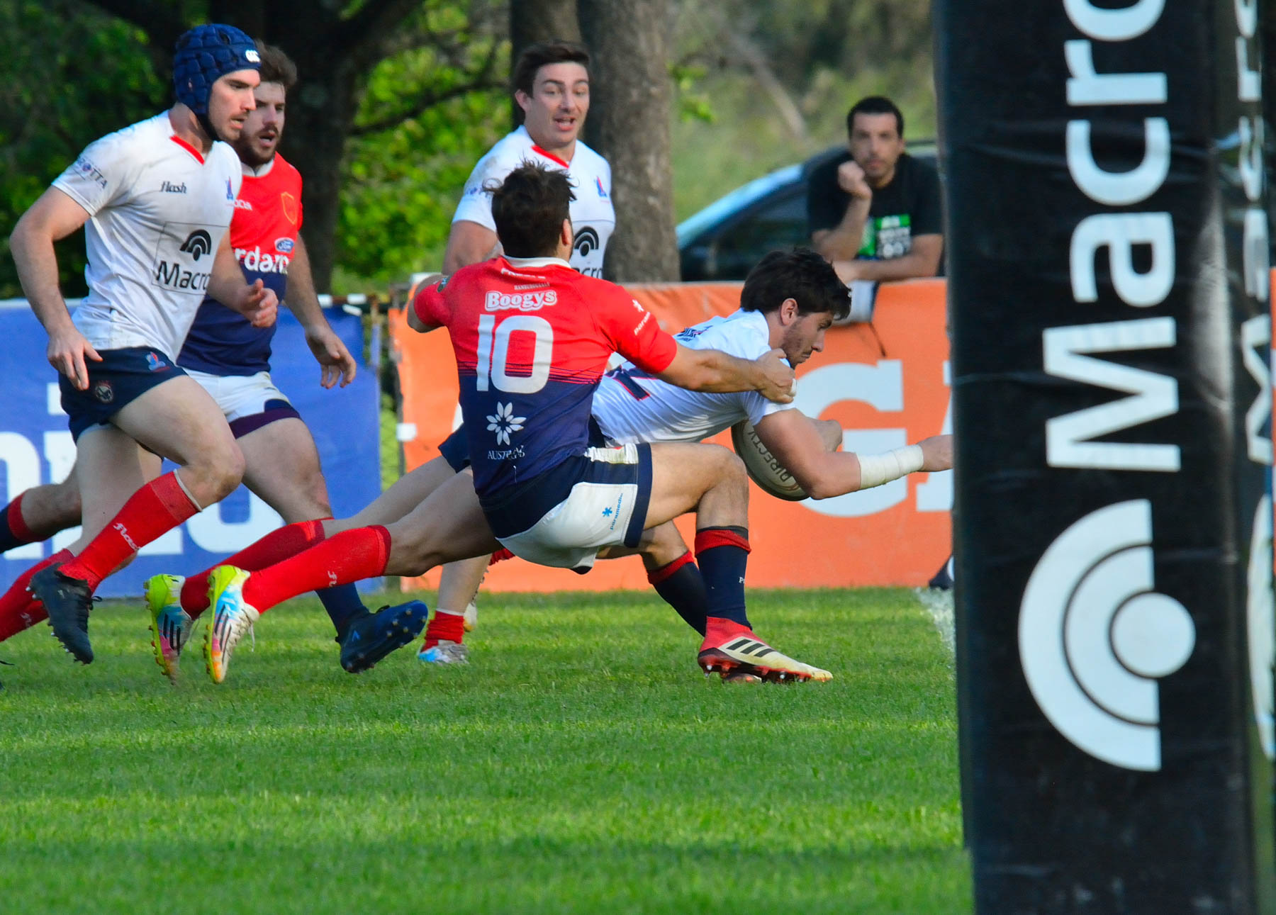  Pueyrredón Rugby Club - Asociación Deportiva Francesa - Rugby -  (#PueyVsDepoOct2018Prim) Photo by: Edy Rung | Siuxy Sports 2018-10-06