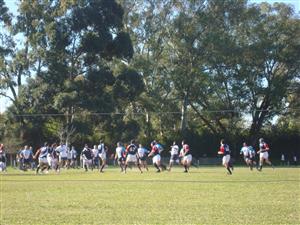 VARBA vs Artrosis XV