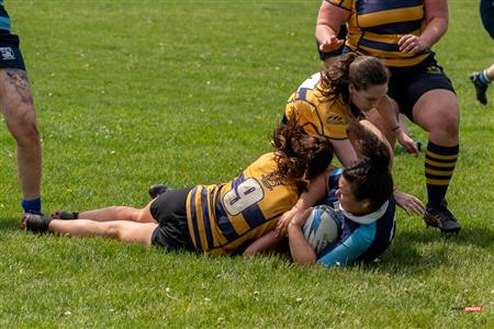 TMRRFC W2 (0) vs (24) St-Lambert Locks RFC - Reel A