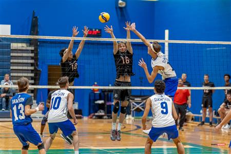 RSEQ - VOLLEYBALL C M D2 SUD-OUEST - TOURNOI 4 - SECTION A - Aigles (2) VS (1) Blues