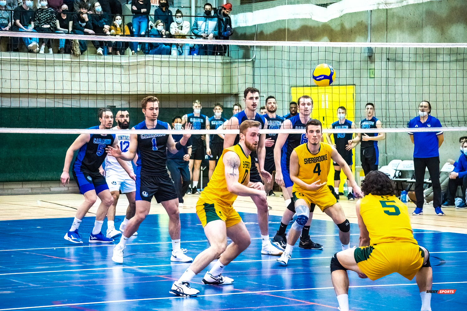 Zachary HOLLANDS - Jonathan PORTELANCE - Julien VANIER -  Université de Montréal - Université de Sherbrooke - Volleyball - Université de Sherbrooke (3) vs Université de Montréal (1) - Final 1 2022 (#VertOrVsCarabinsFinal1M) Photo by:  | Siuxy Sports 2022-03-19