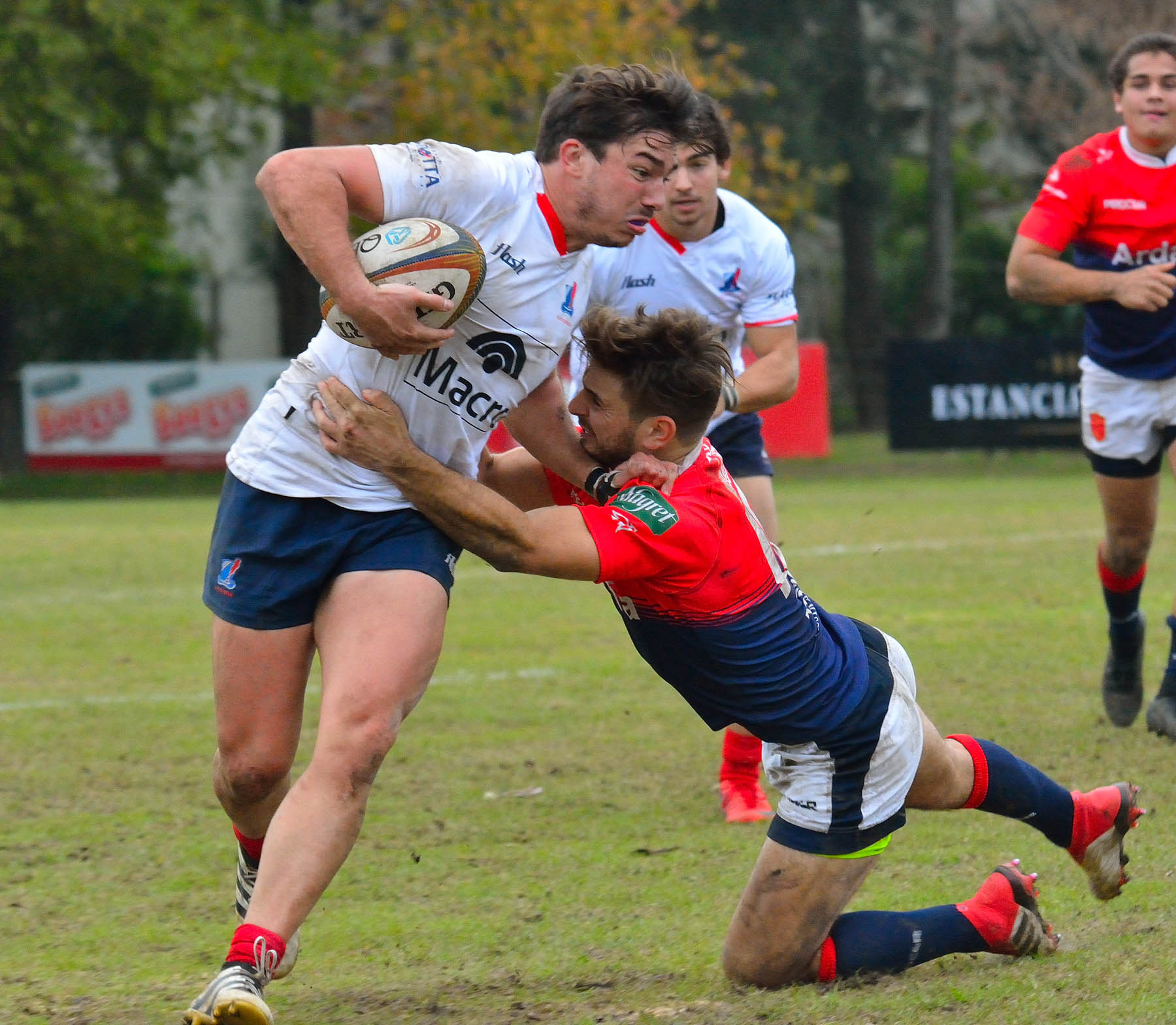  Pueyrredón Rugby Club - Asociación Deportiva Francesa - Rugby -  (#PueyVsDepoJun2018Prim) Photo by: Edy Rung | Siuxy Sports 2018-06-09