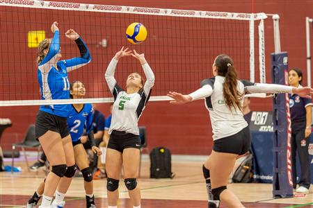RSEQ - Volley Fém (D2) - UQAC (3) vs (1) UQO - Reel 1