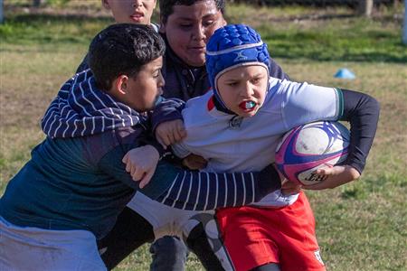 M12 SITAS vs Virreyes