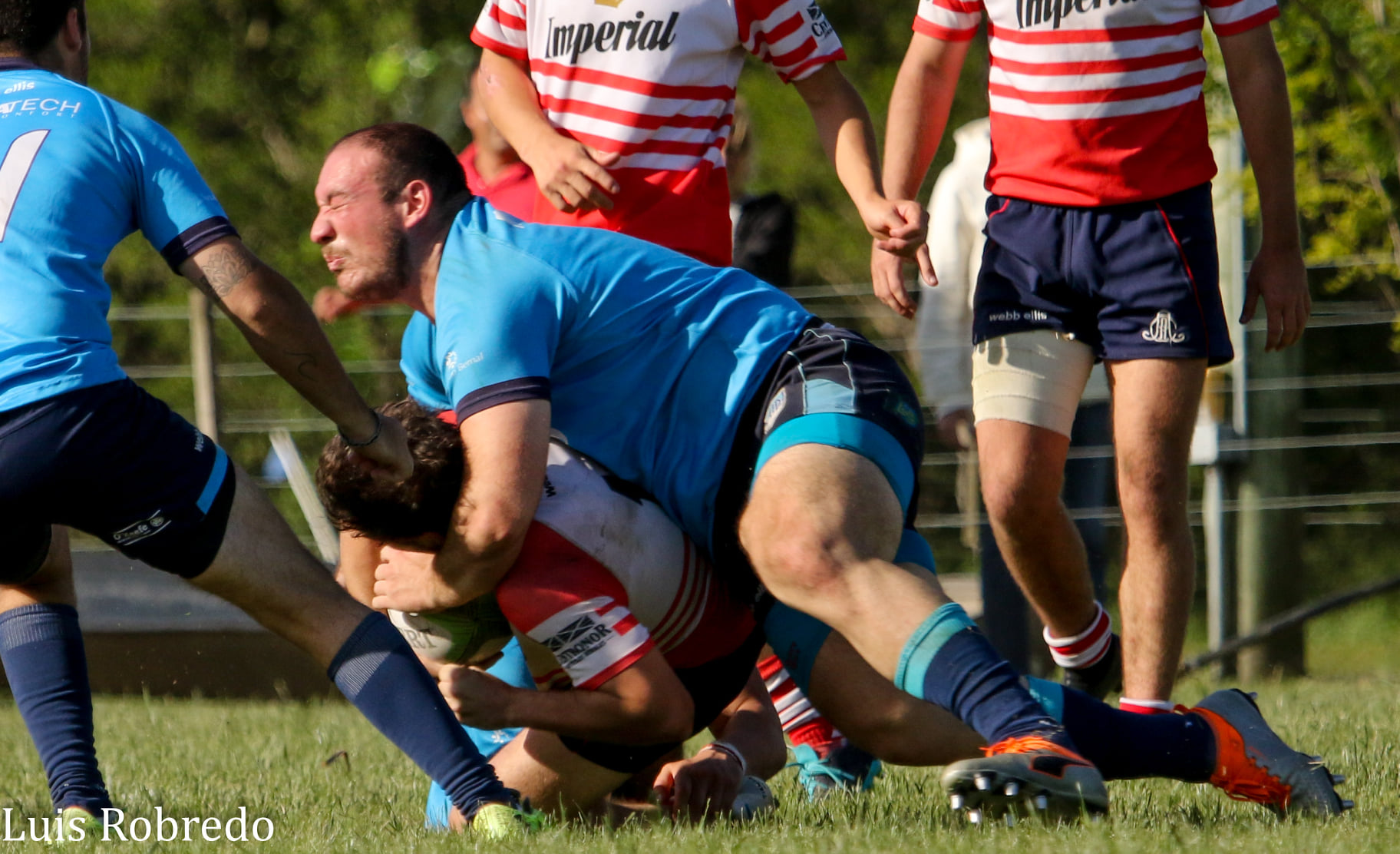  Areco Rugby Club - Círculo Universitario de Quilmes - Rugby - Areco Vs CUQ - URBA 2021 - Primera (#ArecoVsCUQ2021Pri) Photo by: Luis Robredo | Siuxy Sports 2021-11-20