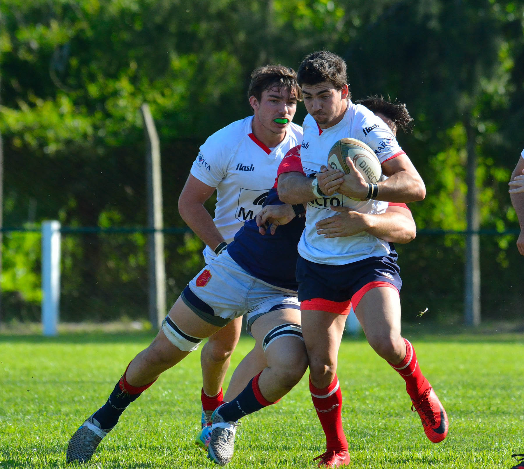  Pueyrredón Rugby Club - Asociación Deportiva Francesa - Rugby -  (#PueyVsDepoOct2018Prim) Photo by: Edy Rung | Siuxy Sports 2018-10-06
