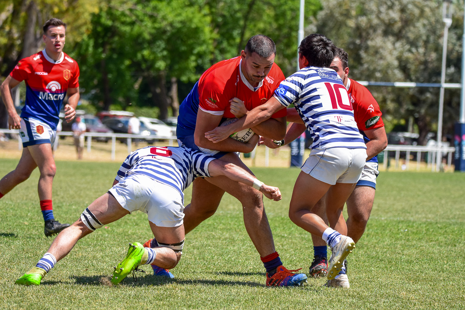  Club San Carlos - Asociación Deportiva Francesa - Rugby - URBA 1A - San Carlos vs Deportiva Francesa (#URBASanCarADF2022) Photo by: Ignacio Pousa | Siuxy Sports 2022-11-05