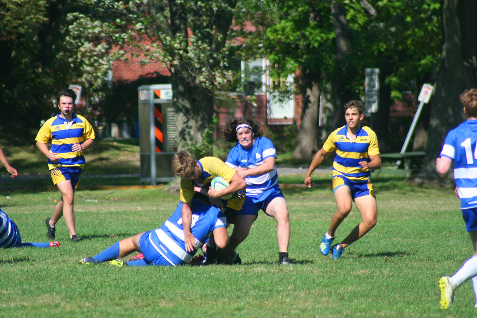  College John Abbott - College Dawson - Rugby -  (#DawsonVsAbbott) Photo by:  | Siuxy Sports 2021-09-12