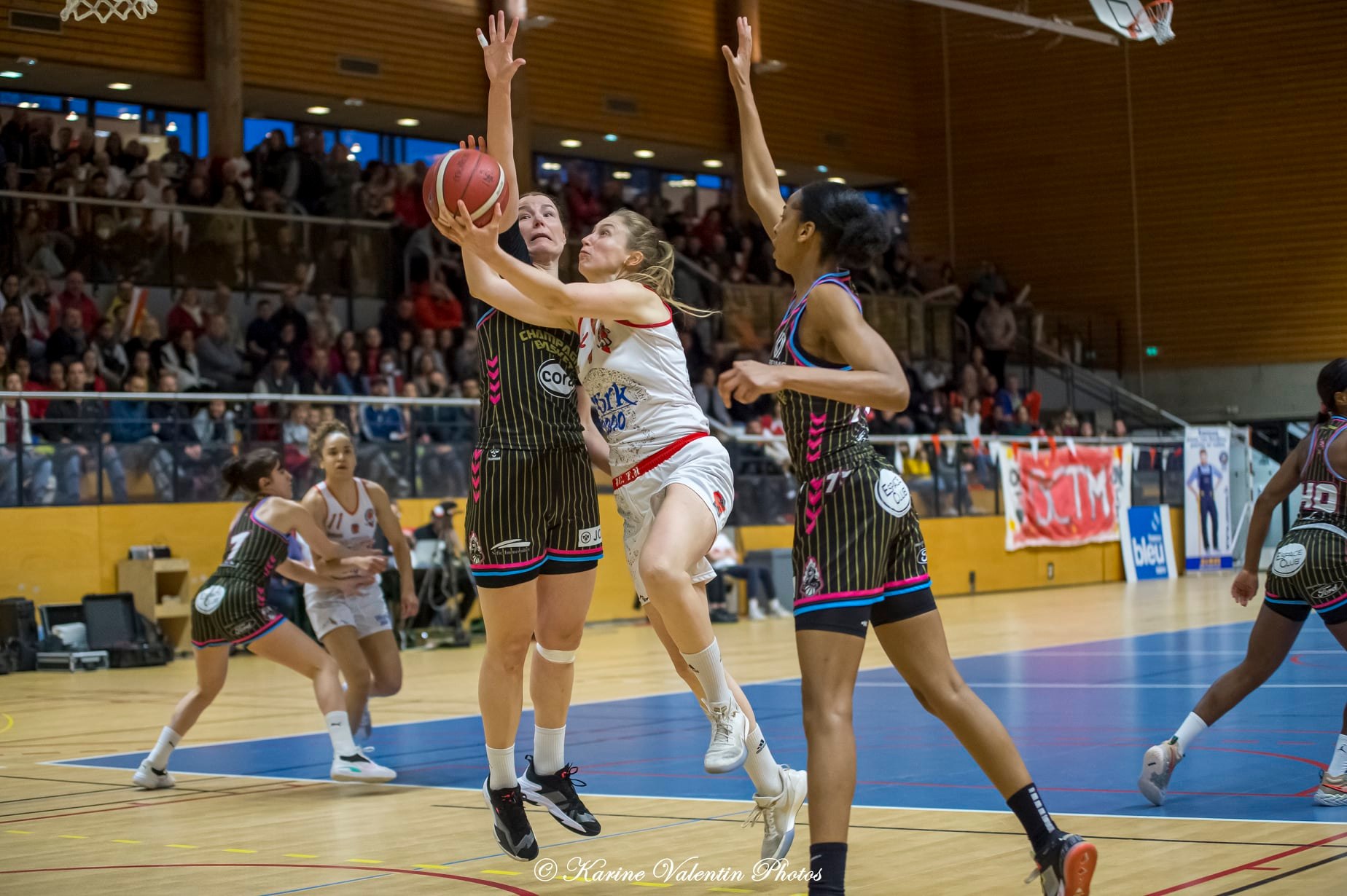  BC Tronche Meylan - Champagne Basket - Basketball - BCTM (73) vs (65) Reims - Basketball Fém. (#FFBB22BCTMREIMSa) Photo by: Karine Valentin | Siuxy Sports 2022-04-02