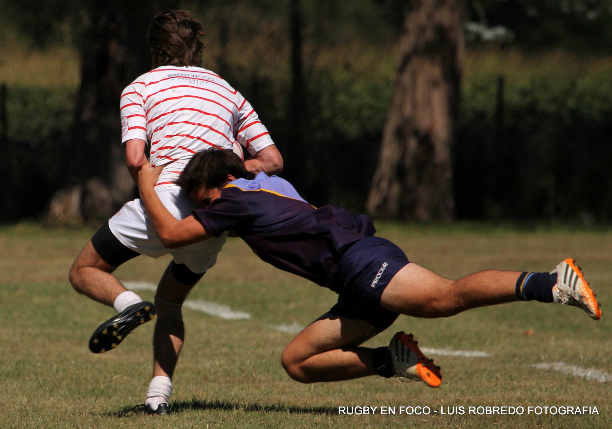  Colegio San Antonio - Brentwood College School - Rugby - Colegio San Antonio Vs Brentwood College - 2015 - Encuentro Rugby (#CSAvsBrentwood2015rugby) Photo by: Luis Robredo | Siuxy Sports 2015-03-12
