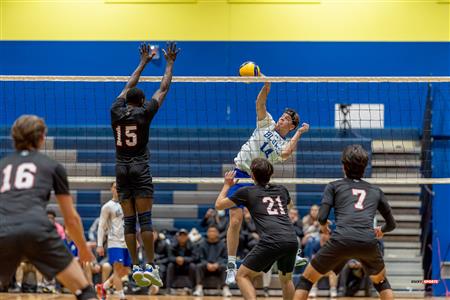 RSEQ - VOLLEYBALL C M D2 SUD-OUEST - TOURNOI 4 - SECTION A - Aigles (2) VS (1) Blues