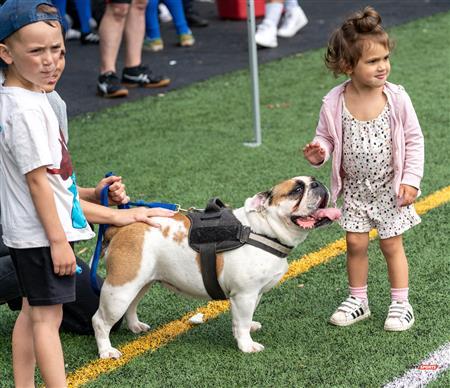 PARCO (14) vs (31) BBRFC - Rugby Quebec (Super Ligue Masculine) - Reel B (PARCO)