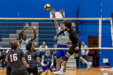 RSEQ - VOLLEYBALL C M D2 SUD-OUEST - TOURNOI 4 - SECTION A - Aigles (2) VS (1) Blues