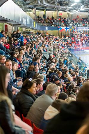 Playoffs Hockey - Grenoble (5) vs Bordeaux (0)