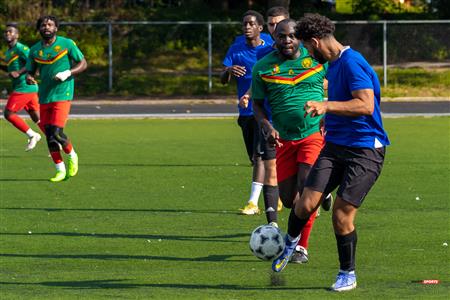 Lions du Cameroun Vs Top Boys FC - LIGAF One