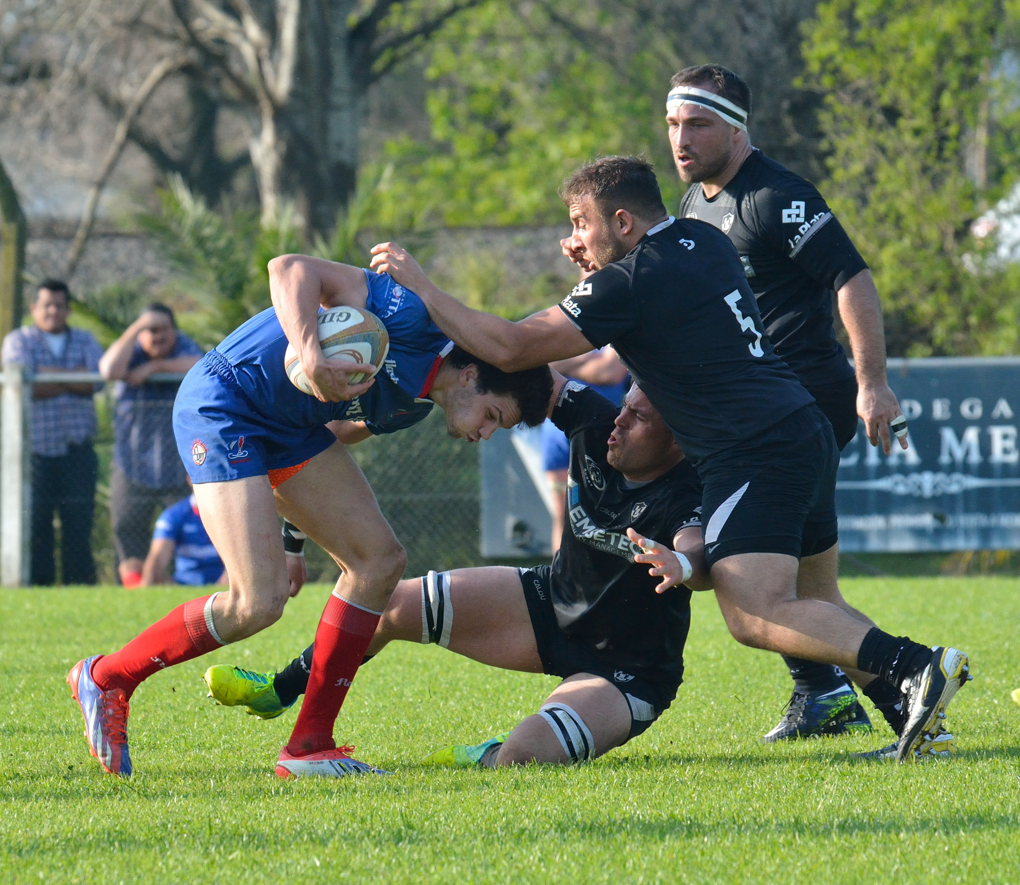  Pueyrredón Rugby Club - Universitario de La Plata - Rugby -  (#PueyVsUdeLP2017) Photo by: Edy Rung | Siuxy Sports 2017-09-23