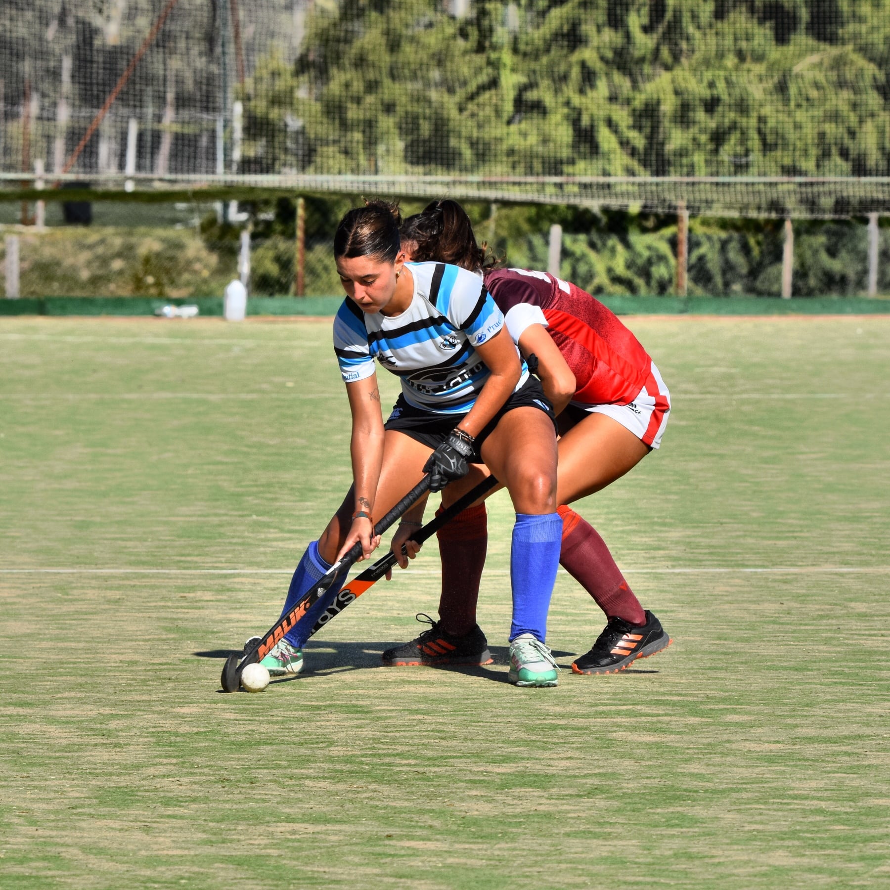  San Isidro Club - Club Atlético Banco de la Provincia de Buenos Aires - Field hockey - S.I.C. A vs Banco Provincia A -  Inter y 1ra - 2022 (#SICBPROV2022) Photo by: Edgardo Kleiman | Siuxy Sports 2022-04-09