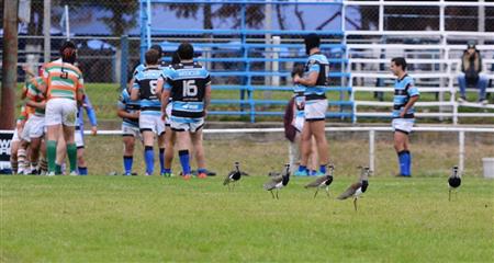 Liceo Naval vs. R.C. Hurling - Pre C