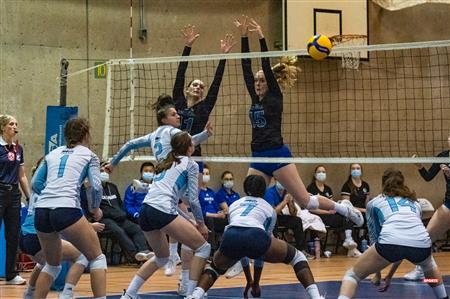 Université de Montréal vs Université du Québec à Montréal - Volleyball Fém