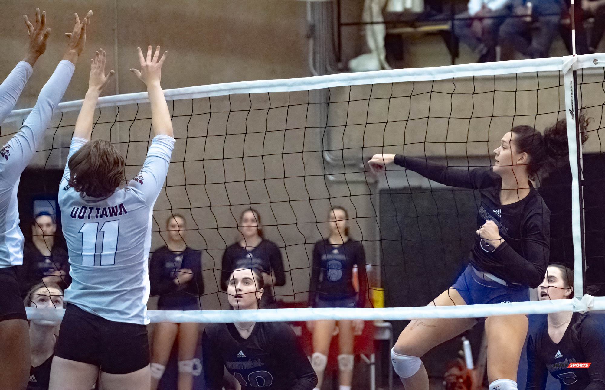 Brittany MCGLASHAN - Sarah MCGLASHAN - Rosalie TURGEON -  Université de Montréal - Université Ottawa - Volleyball -  (#VolleyUdeMvsUOttawaFW) Photo by:  | Siuxy Sports 2021-11-12