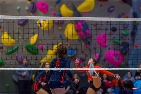 RSEQ - Volleyball C F D2 Sud-Ouest - Tournoi 4 - Sect F - André Laurendeau (2) vs (1) Gérald Godin