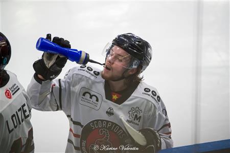 BDL Grenoble vs Mulhouse