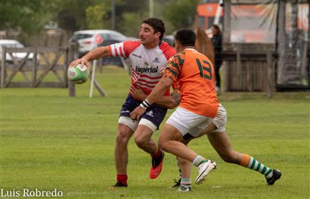Areco Rugby vs Brandans 