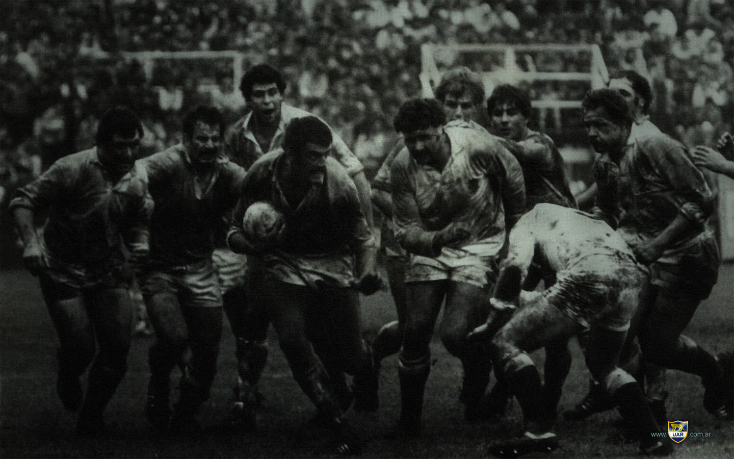 Eliseo Nicolas BRANCA - Alejandro IACHETTI - Enrique RODRÍGUEZ - Gabriel TRAVAGLINI -  Selección Argentina de Rugby XV -  - Rugby - Los Pumas 6 vs Inglaterra 12 () Photo by:  | Siuxy Sports 1981-10-10