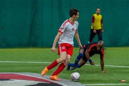 QSL - Dynamo Plateau vs White Eagles