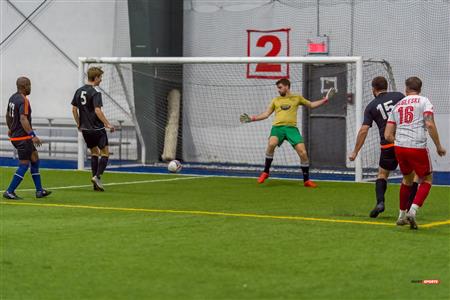 QSL - Dynamo Plateau vs White Eagles