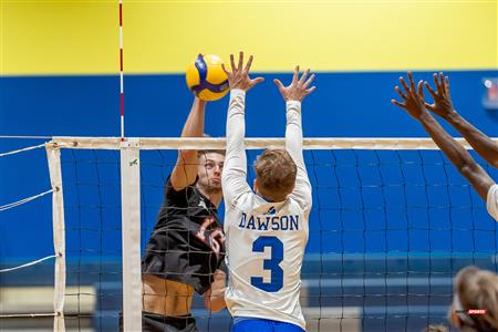RSEQ - VOLLEYBALL C M D2 SUD-OUEST - TOURNOI 4 - SECTION A - Aigles (2) VS (1) Blues
