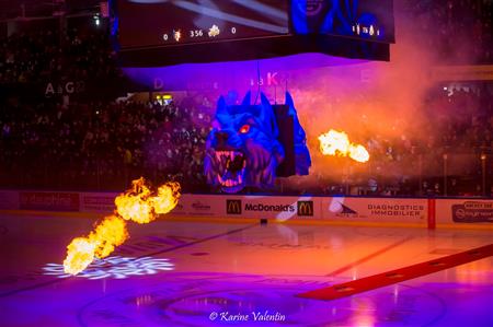 BDL Grenoble vs Rouen
