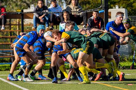 RSEQ RUGBY Masc - U. DE MONTRÉAL (50) vs (7) U. Sherbrooke - Reel A2