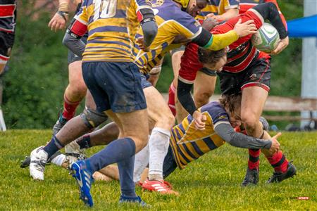 TMR (48) vs (0) BRFC - Reel A - M2