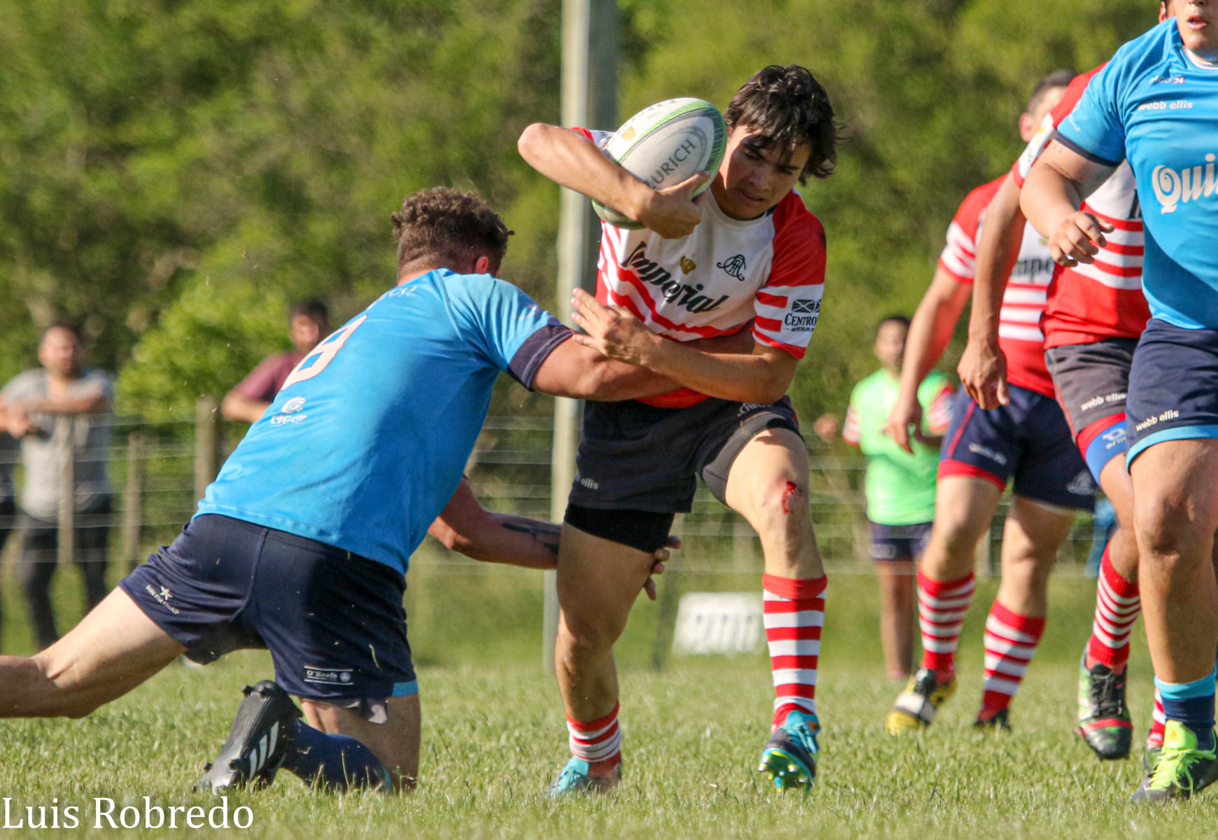  Areco Rugby Club - Círculo Universitario de Quilmes - Rugby - Areco Vs CUQ - URBA 2021 - Primera (#ArecoVsCUQ2021Pri) Photo by: Luis Robredo | Siuxy Sports 2021-11-20