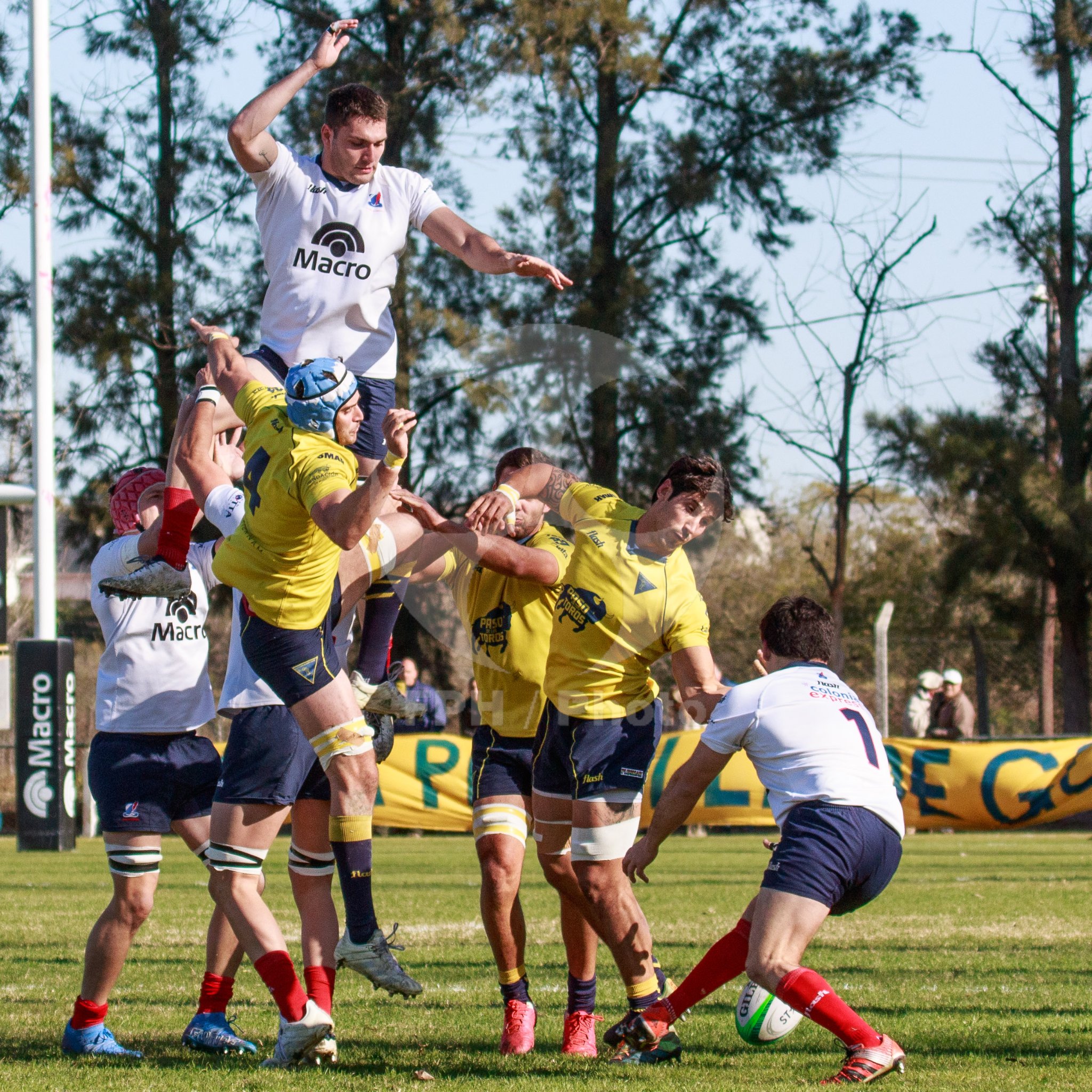  Pueyrredón Rugby Club - La Plata Rugby Club - Rugby - Pueyrredon (18) vs (19) La Plata - URBA - 1ra A (#PueyLaPlata2022) Photo by: Alan Roy Bahamonde | Siuxy Sports 2022-07-02