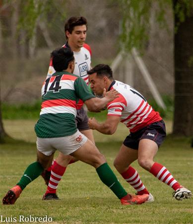 Areco Rugby vs Brandsen