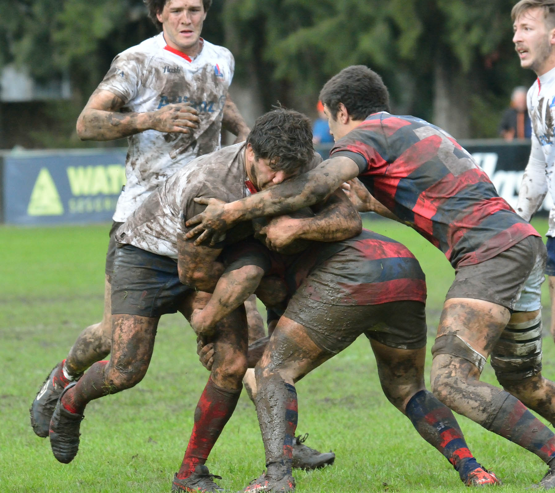  Curupaytí Club de Rugby - Pueyrredón Rugby Club - Rugby -  (#CurupaVsPuey2017) Photo by: Edy Rung | Siuxy Sports 2017-08-19
