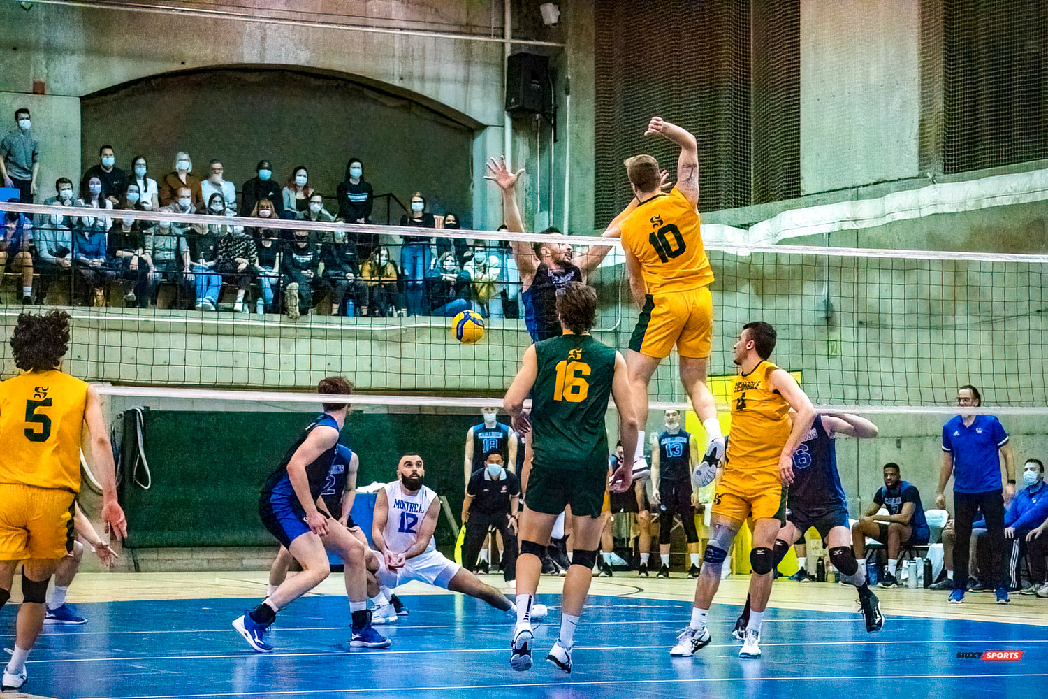 Yassine KASSIS - Jonathan PORTELANCE - Nidhal RIDENE - Guillaume RIVEST - Julien VANIER -  Université de Montréal - Université de Sherbrooke - Volleyball - Université de Sherbrooke (3) vs Université de Montréal (1) - Final 1 2022 (#VertOrVsCarabinsFinal1M) Photo by:  | Siuxy Sports 2022-03-19